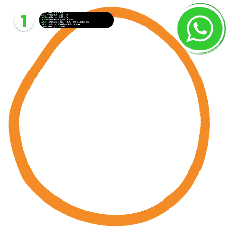 Whatsapp Hacking