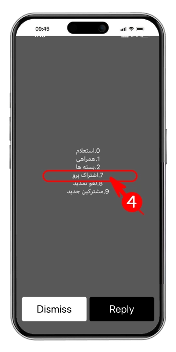 انتخواب سرویس اینترنت پرو برای تمدید حجم بسته