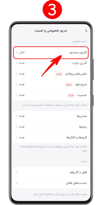 مشاهده لیست سیاه یا بخش کاربران مسدود شده در تنظیمات حریم خصوصی سروش
