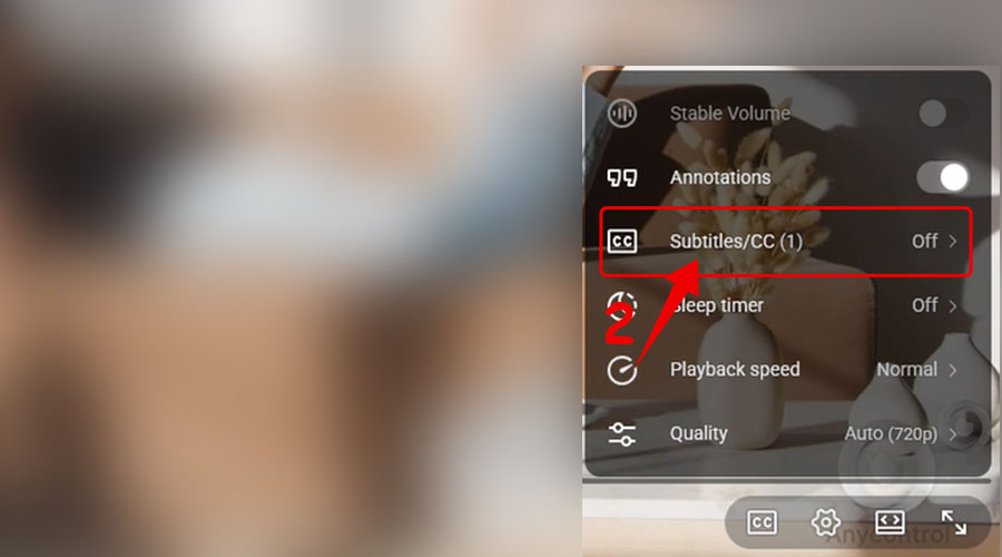 زیرنویس یوتیوب برای کامپیوتر