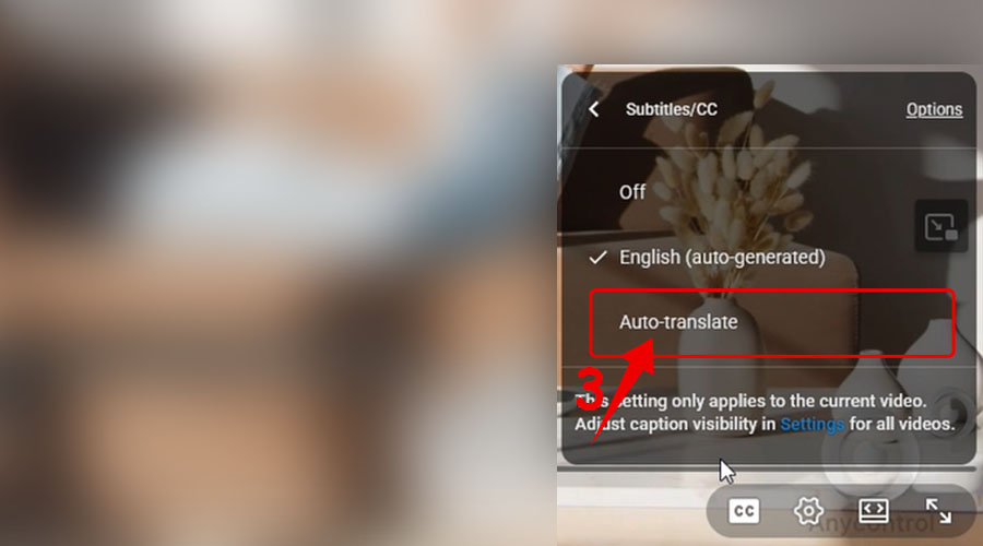 زیرنویس یوتیوب فارسی