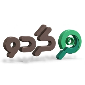 لوگو جستجوگر گردو