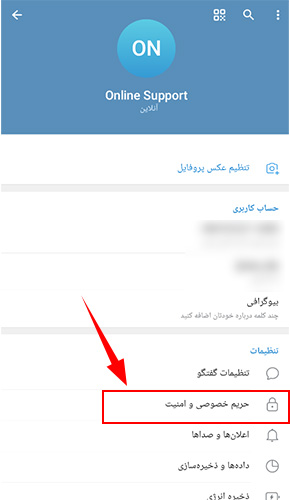 حریم خصوصی و امنیت تلگرام
