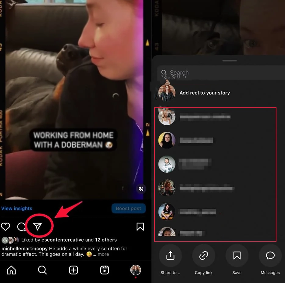 How to Share Someone's reel on Instagram?