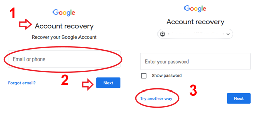 google recovery form