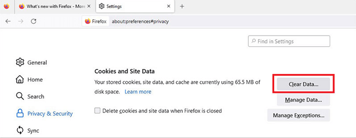 Haga clic en "Clear data" en la sección "Cookies and Site Data".