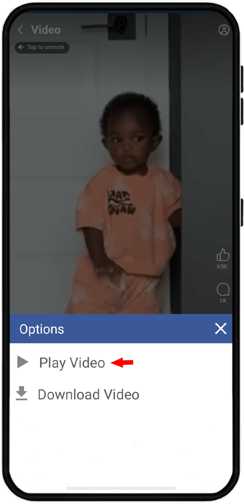 play facebook video