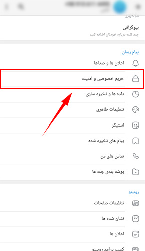 بخش امنیت و حریم خصوصی روبیکا