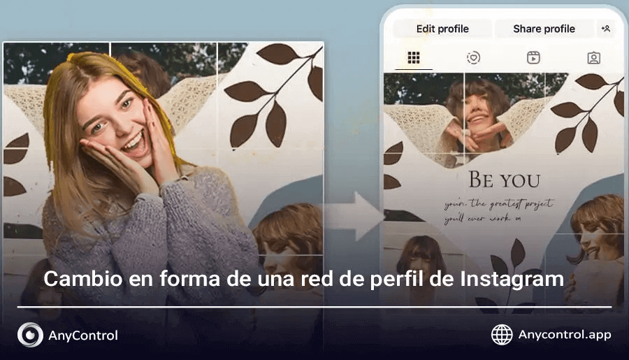 Cambio en el formato de la cuadrícula de perfil