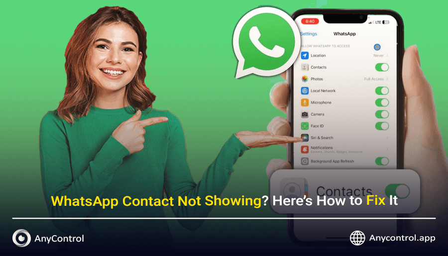 Fix WhatsApp Contact Not Showing